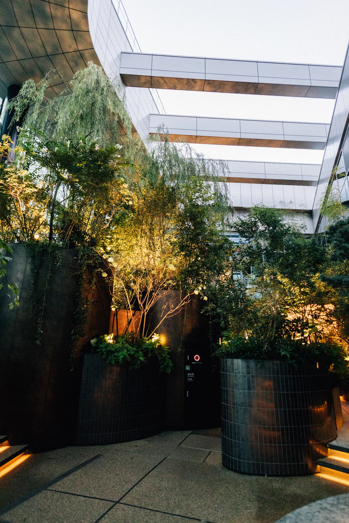Lush courtyard landscape with architectural edges